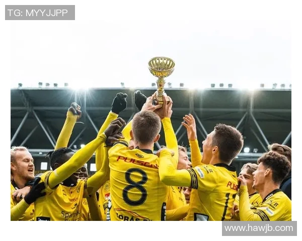 纽伦堡与汉堡今日比赛比分结果揭晓精彩瞬间回顾